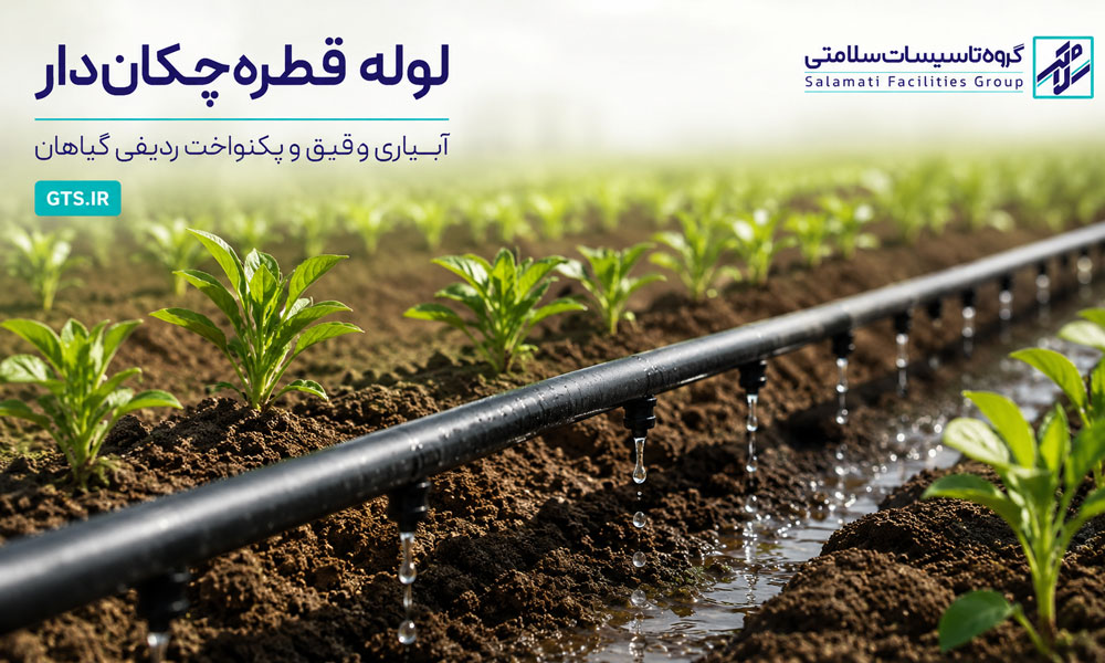 نمای نزدیک لوله قطره چکان دار در حال آبیاری ردیفی گیاهان